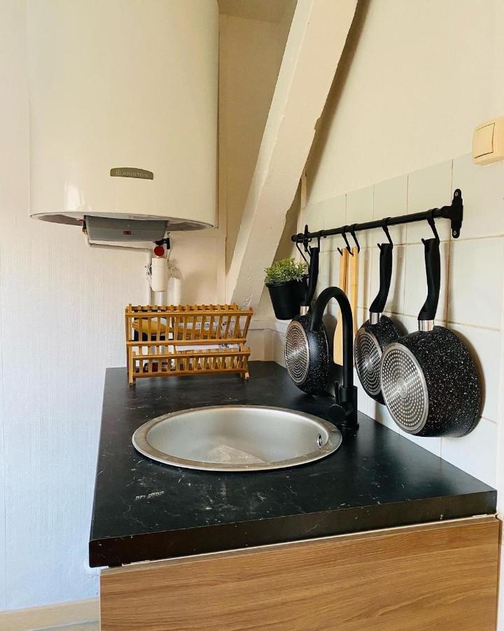 Appartement Avec Terrasse - Goupama Stadium, Eurexpo, Ldlc Arena, La Soie Vaulx-en-Velin Eksteriør bilde