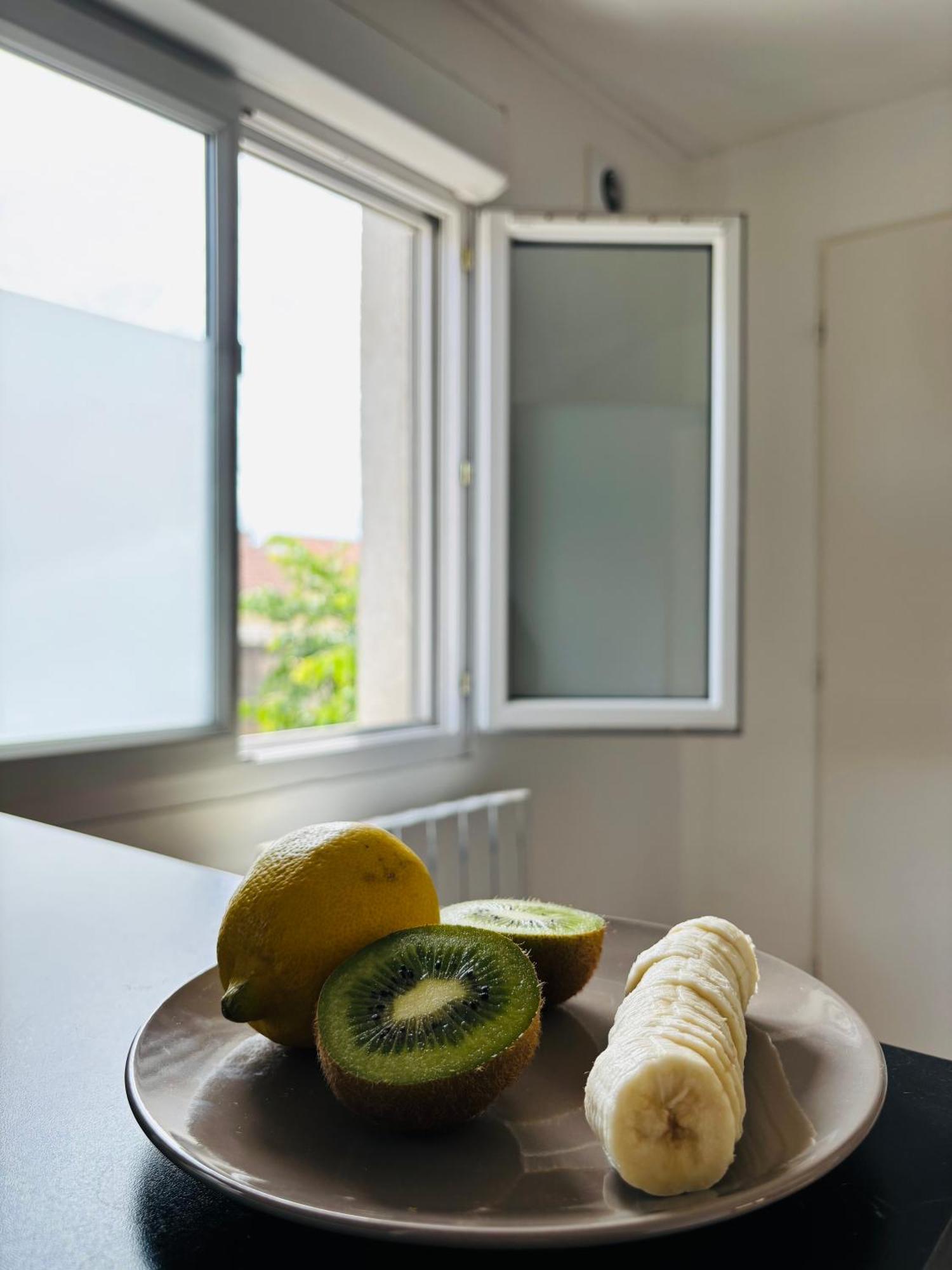 Appartement Avec Terrasse - Goupama Stadium, Eurexpo, Ldlc Arena, La Soie Vaulx-en-Velin Eksteriør bilde